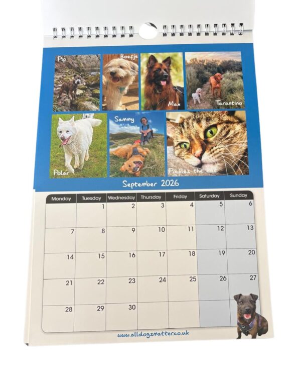 All Dogs Matter 2026 Calendar - Image 16