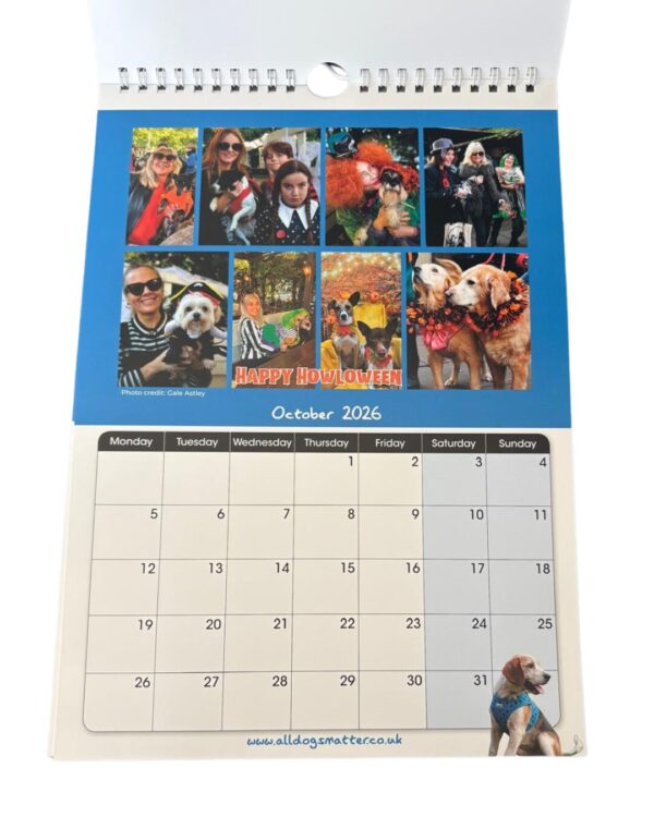 All Dogs Matter 2026 Calendar - Image 15