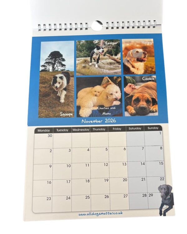 All Dogs Matter 2026 Calendar - Image 14