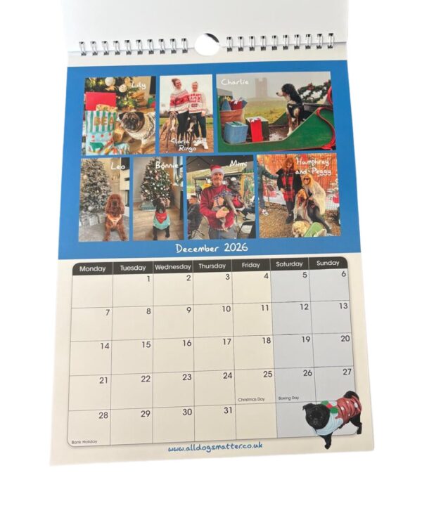 All Dogs Matter 2026 Calendar - Image 13