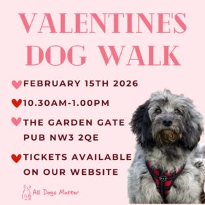 Valentine's Dog Walk 2026