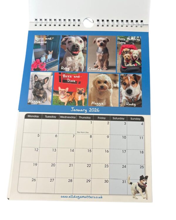 All Dogs Matter 2026 Calendar - Image 8