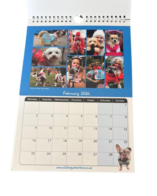All Dogs Matter 2026 Calendar - Image 7