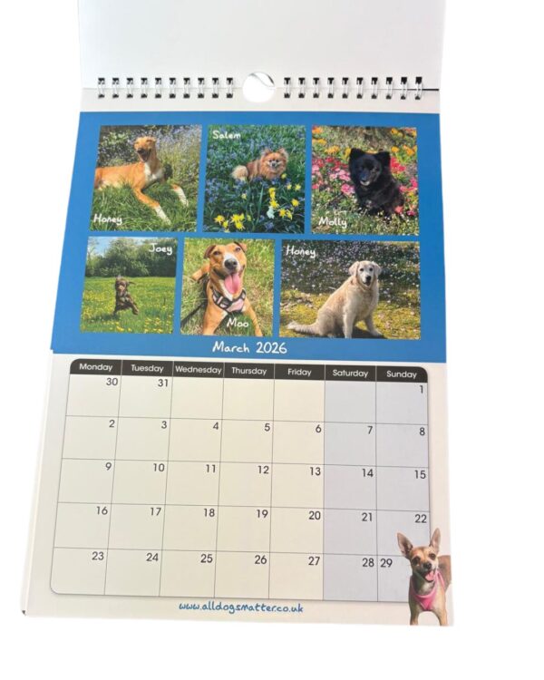 All Dogs Matter 2026 Calendar - Image 6