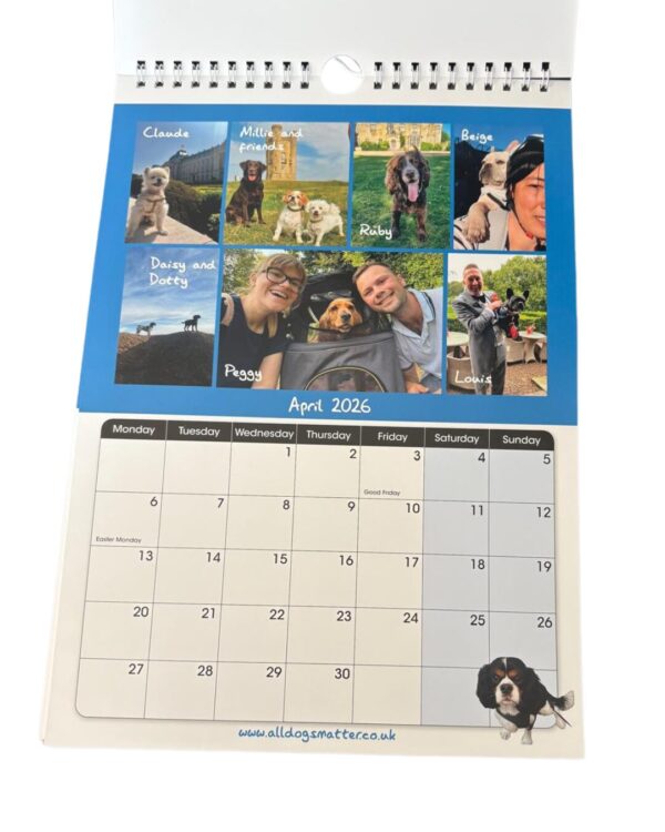 All Dogs Matter 2026 Calendar - Image 5