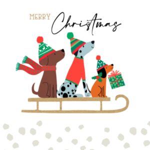 Christmas Cards - Sleigh Dogs