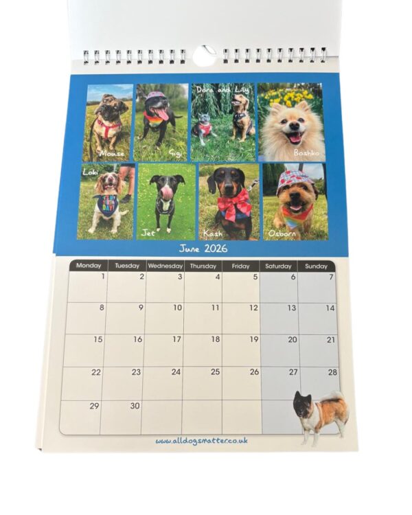 All Dogs Matter 2026 Calendar - Image 3
