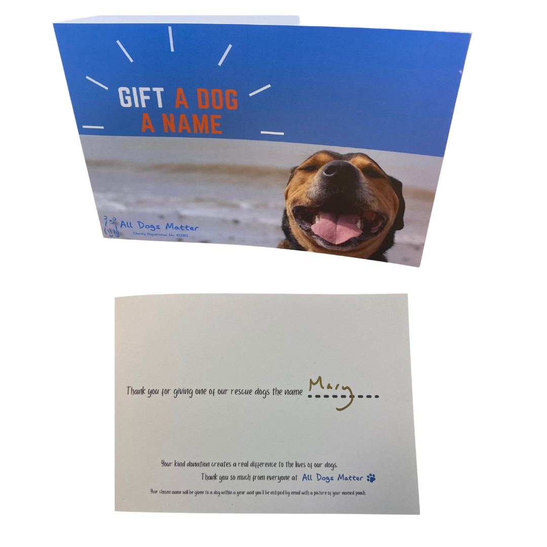 all-dogs-matter-gift-a-dog-a-name