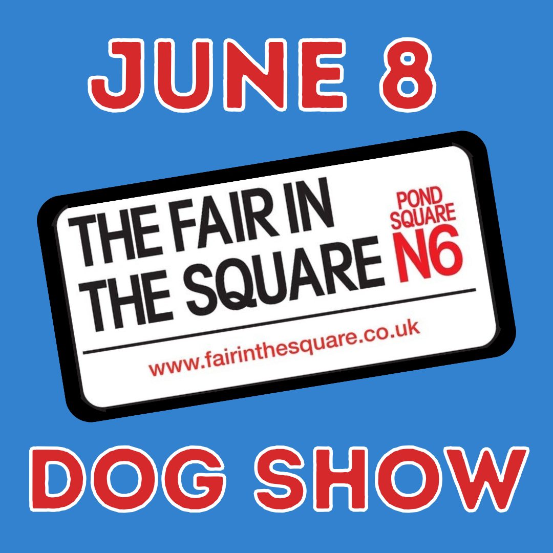 Fair in The Square Dog Show Entry
