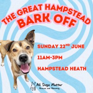 Great Hampstead Bark Off 2025