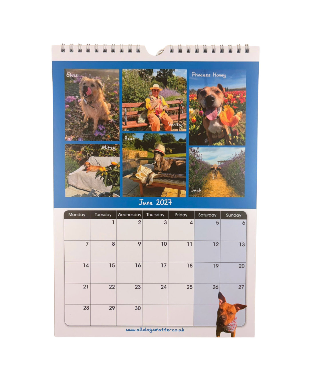 All Dogs Matter 2027 Calendar