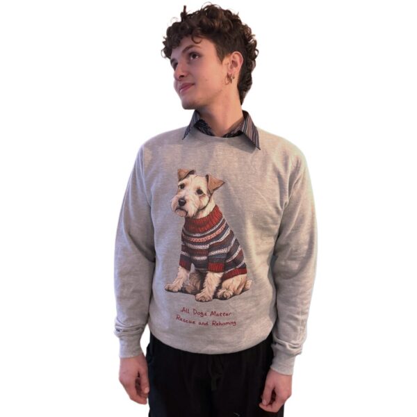 Seasonal Dog Sweatshirt - Grey - Image 3