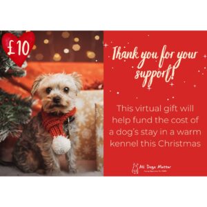 Virtual Christmas Gift £10