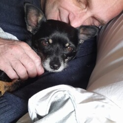 ADM Adopter John sadly passed away. We are thinking of his family, and his dog Spiggot, at this time.
