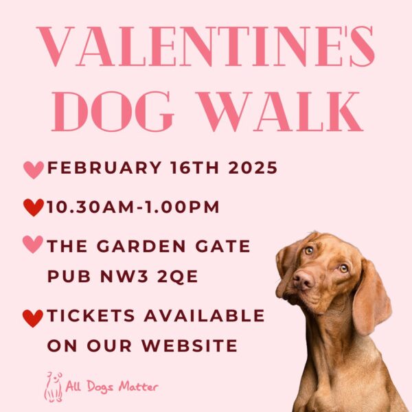 Valentine's Dog Walk 2025