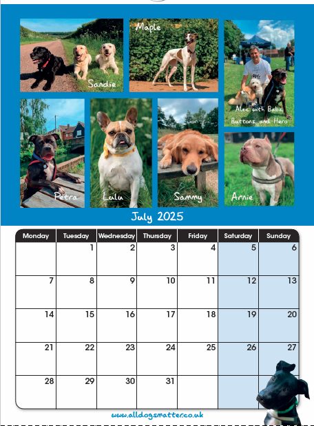 All Dogs Matter 2025 Calendar