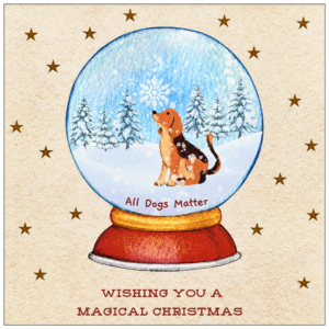 Christmas Cards - Snow Globe