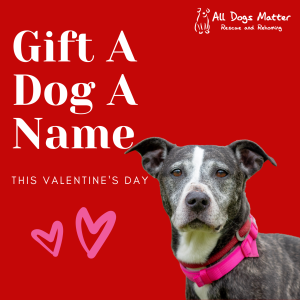 Gift a Dog A Name Card Valentine's Edition