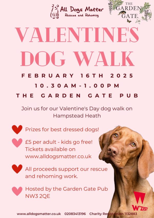 Valentine's Dog Walk 2025 - Image 2